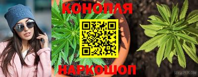спайс Кандалакша