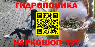 спайс Кандалакша