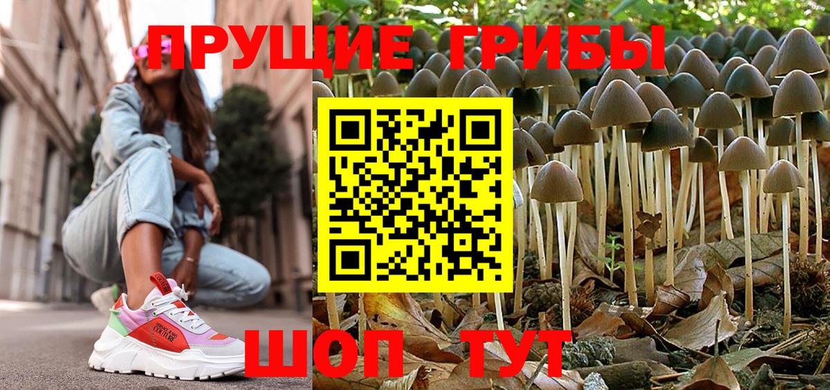 Кувандык  Галлюциногенные грибы мицелий  Вход с VPN 