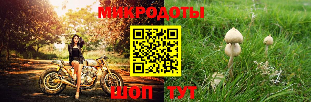 Галлюциногенные грибы Cubensis Кувандык